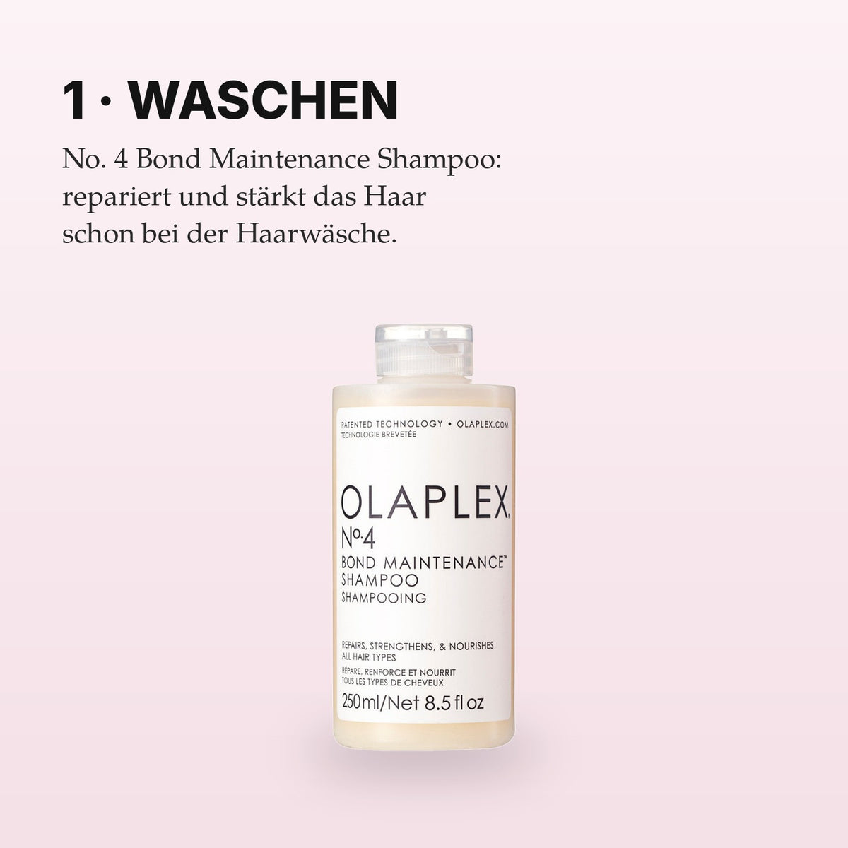Olaplex No. 4 Shampoo Anwendung