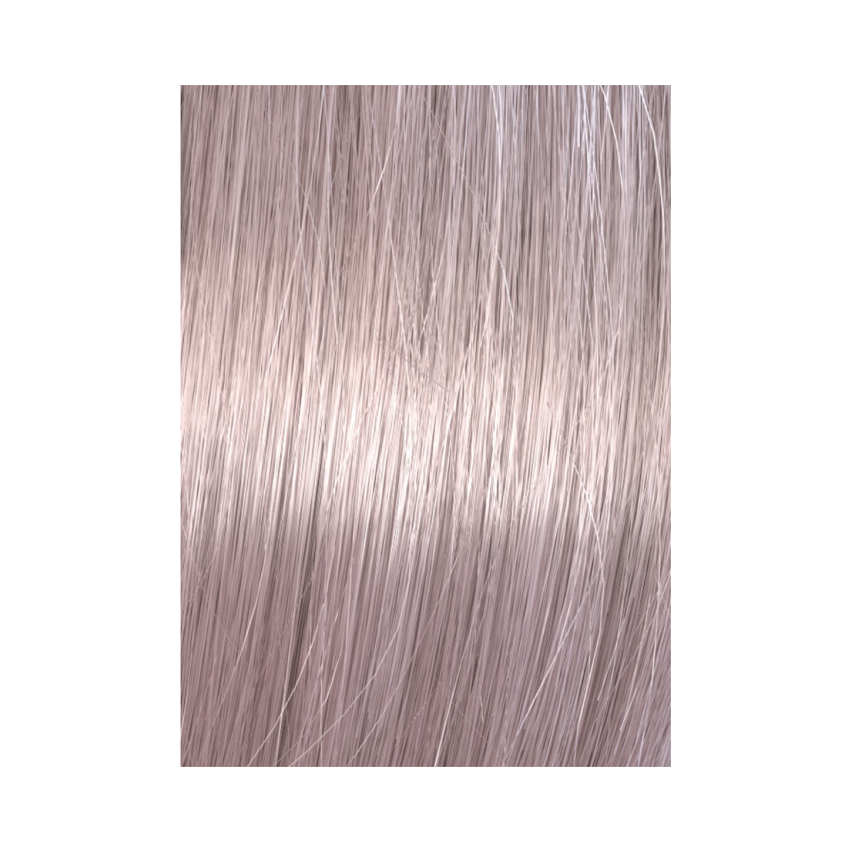 Wella Professionals Koleston Perfect Me+ Special Blonde Haarfarbe 60 ml / 12/96 Cendré-Violett