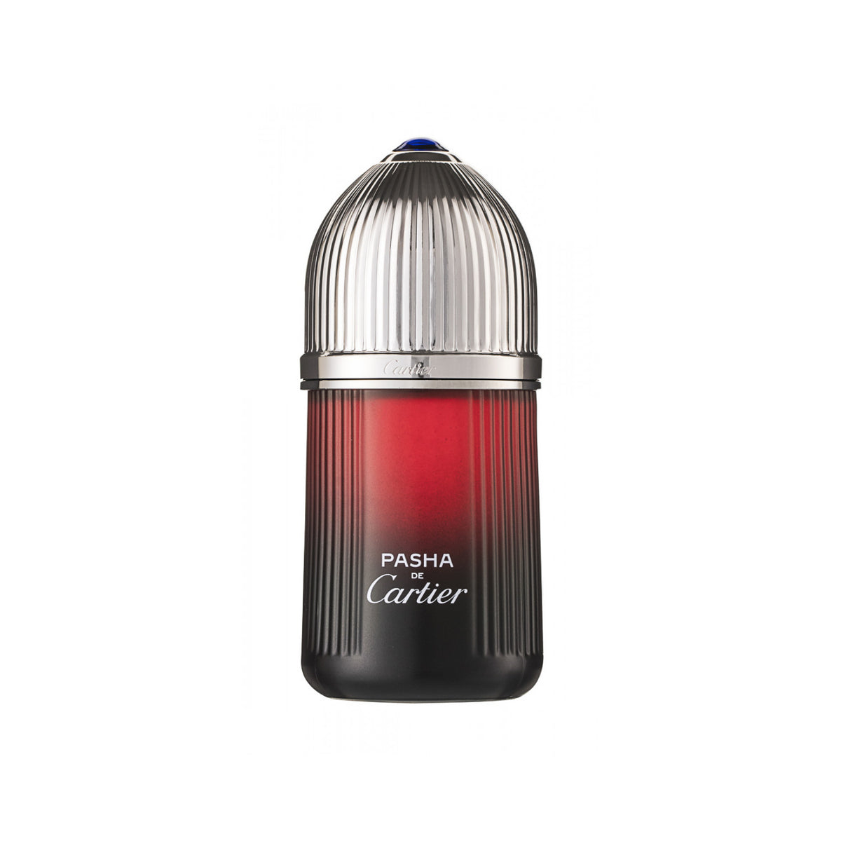 Cartier Pasha de Cartier Edition Noire Sport Eau de Toilette 100 ml