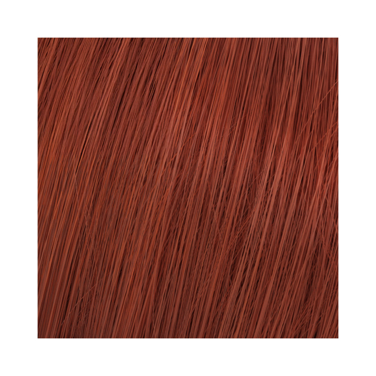 Wella Professionals Koleston Perfect Me+ Vibrant Reds Haarfarbe 60 ml / 7/43 Mittelblond rot-gold