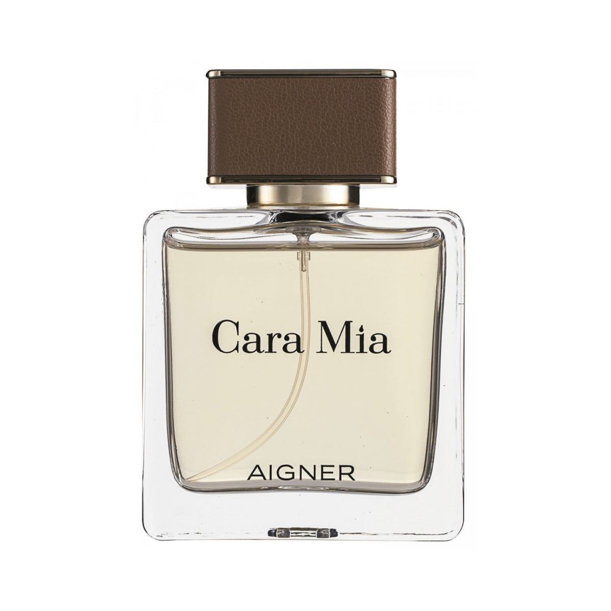 Etienne Aigner Cara Mia Eau de Parfum 100 ml