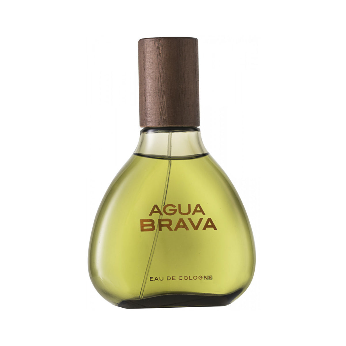 Antonio Puig Agua Brava Eau de Cologne 100 ml