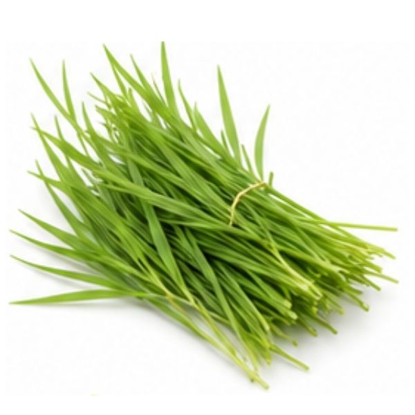 Gras