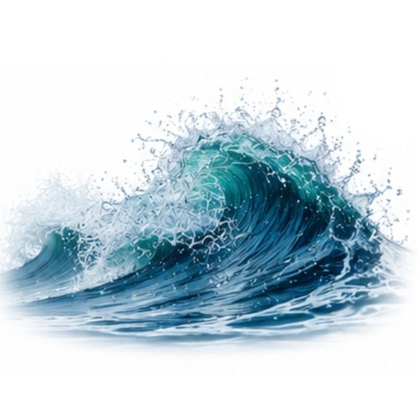 marine Noten