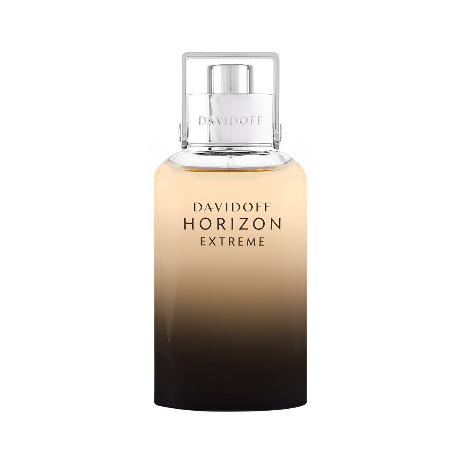 Davidoff Horizon Extreme Eau de Parfum 40 ml
