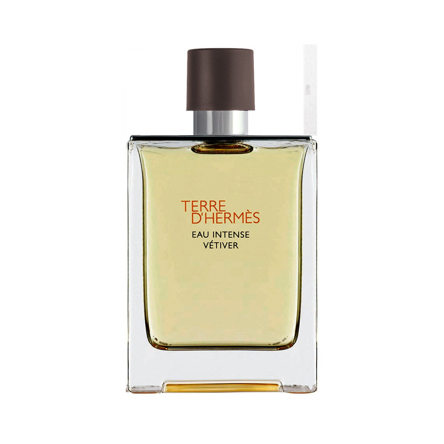 Hermès Terre d`Hermès Eau Intense Vetiver Eau de Parfum 100 ml