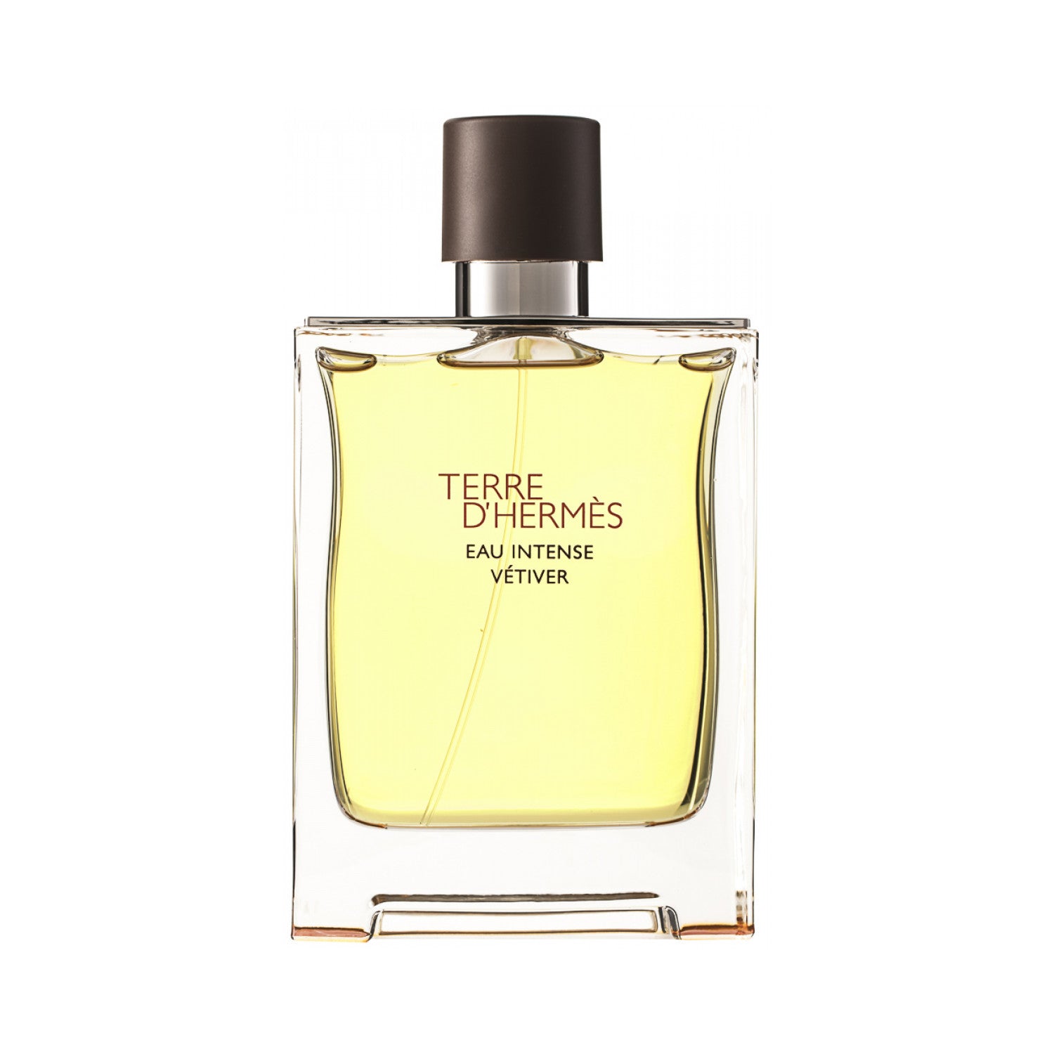 Hermès Terre d`Hermès Eau Intense Vetiver Eau de Parfum 200 ml