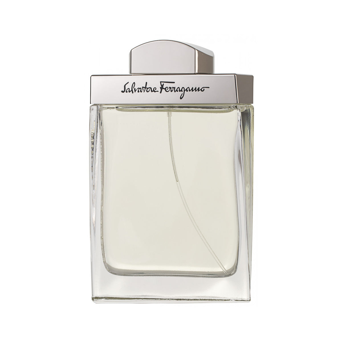 Salvatore Ferragamo Pour Homme Eau de Toilette 100 ml