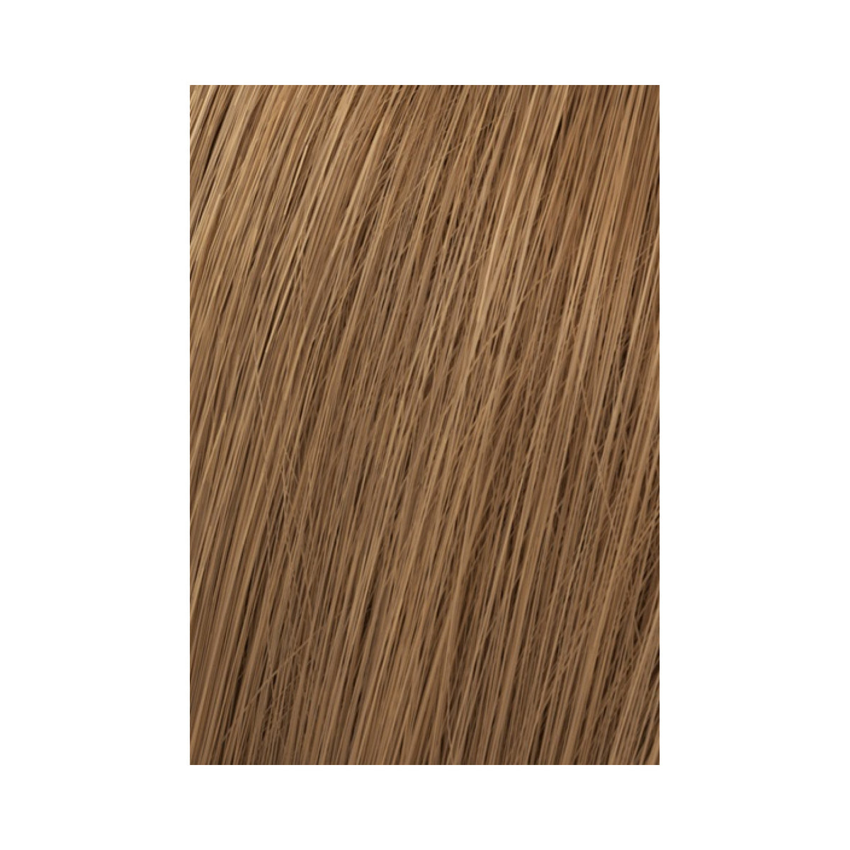 Wella Professionals Koleston Perfect Me+ Rich Naturals Haarfarbe 60 ml / 8/1 Hellblond Asch