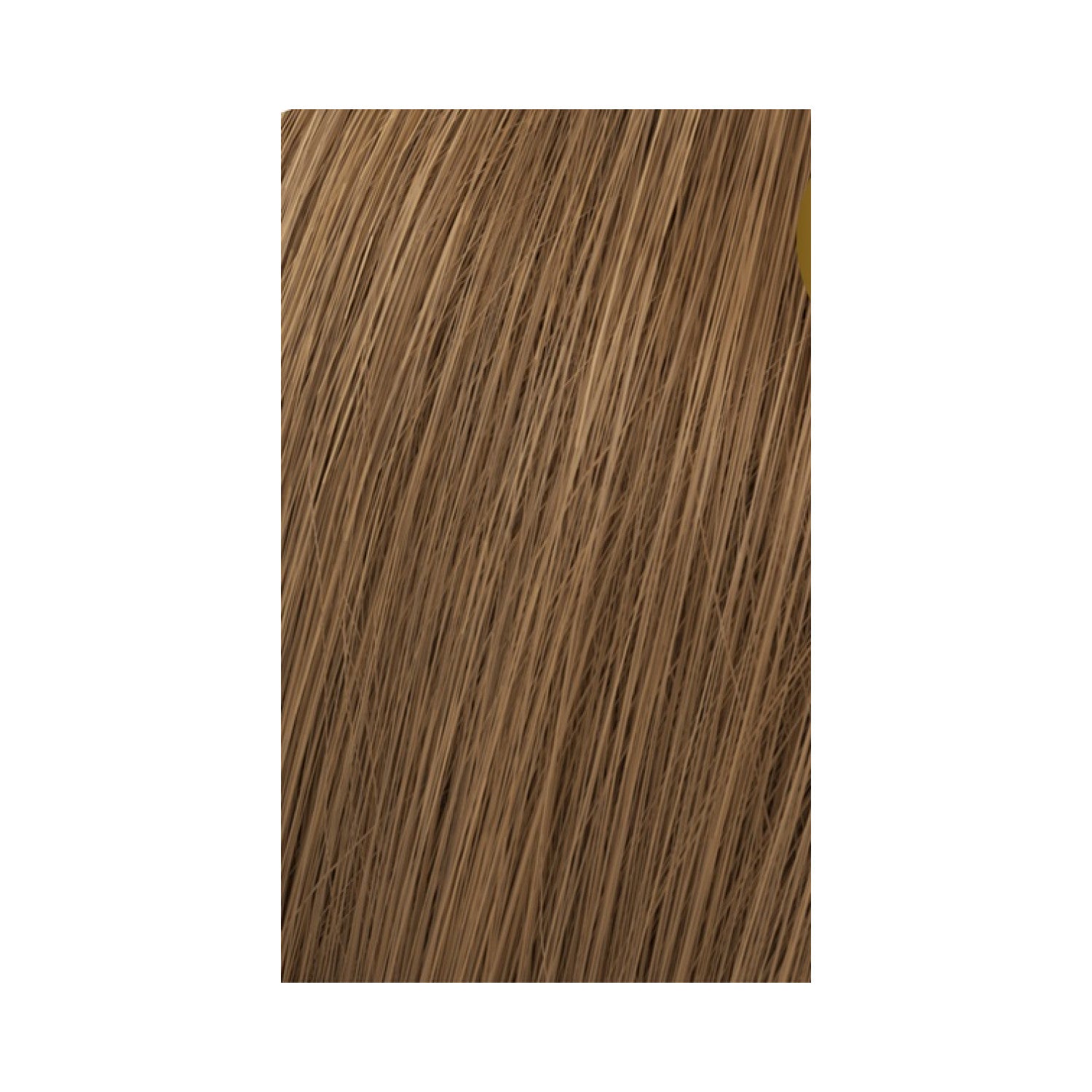 Wella Professionals Koleston Perfect Me+ Rich Naturals Haarfarbe 60 ml / 7/1 Mittelblond Asch