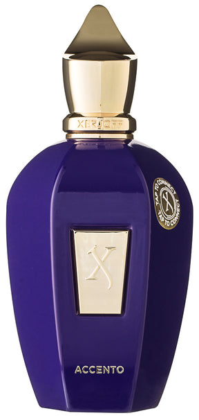 Xerjoff Vibe Accento Eau de Parfum 100 ml