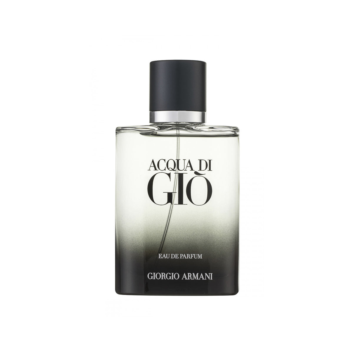 Giorgio Armani Acqua di Gio 2022 Eau de Parfum 100 ml / Neue Vision