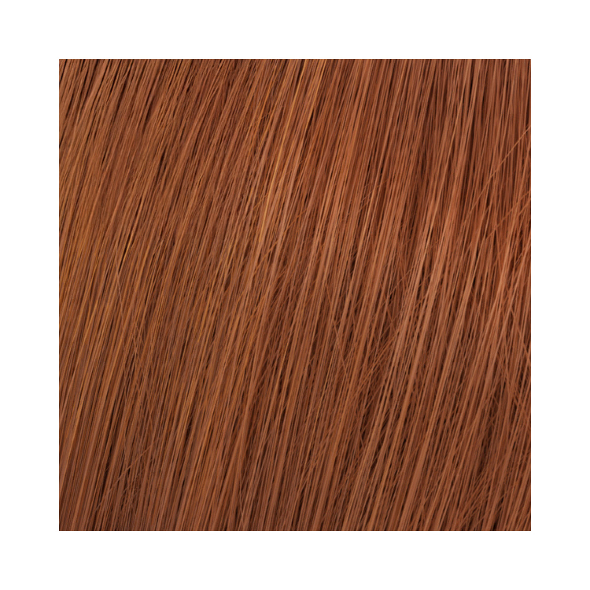 Wella Professionals Koleston Perfect Me+ Vibrant Reds Haarfarbe 60 ml / 6/34 Dunkelblond gold-rot