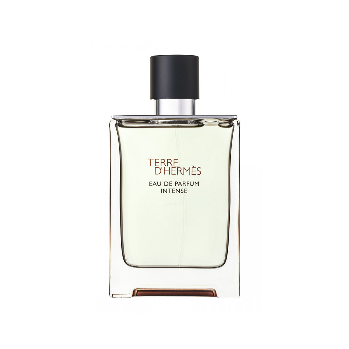 Hermès Terre d`Hermès Eau de Parfum Intense 100 ml / Nachfüllbar