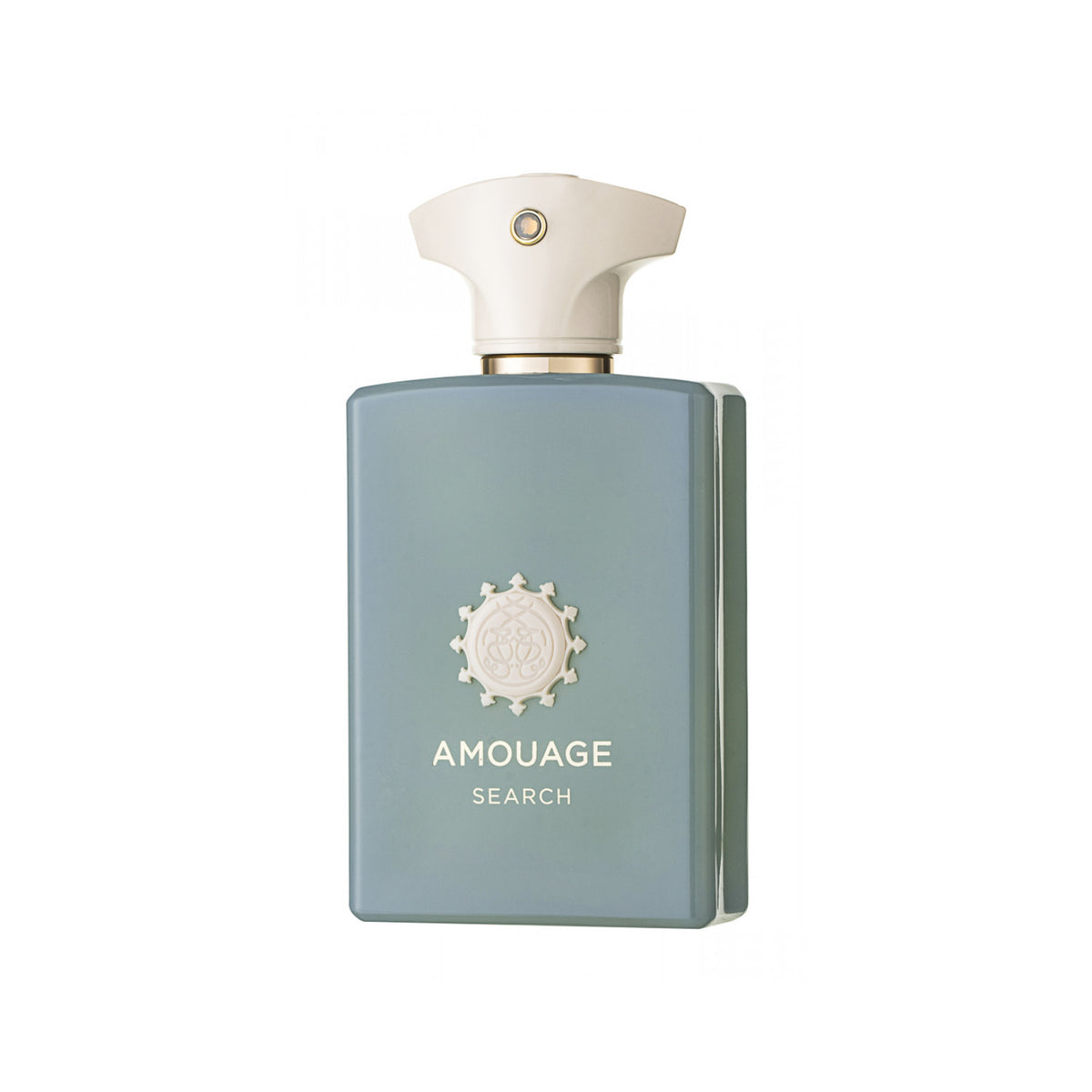 Amouage Search Eau de Parfum 100 ml