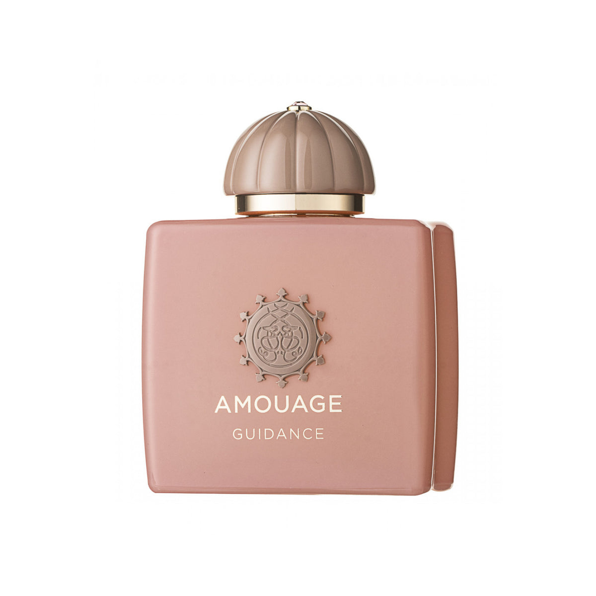 Amouage Guidance Eau de Parfum 100 ml
