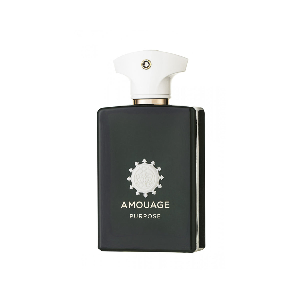 Amouage Purpose Eau de Parfum 100 ml