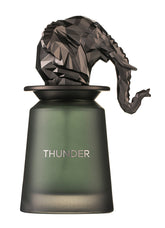 French Avenue Thunder Extrait de Parfum 100 ml