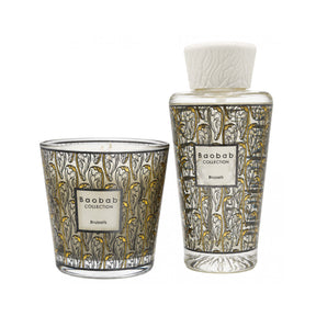 Baobab Collection My First Brussels Geschenkset Set 250 ml Diffuser + 190 ml Duftkerze