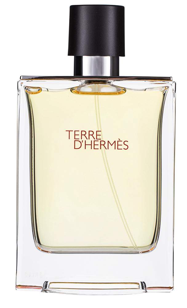 Hermès Terre d`Hermès Pour Homme Eau de Toilette Set 100 ml + 40 ml Duschgel + 15 ml After Shave Balm