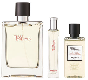 Hermès Terre d`Hermès Pour Homme Eau de Toilette Set 100 ml + 12.5 ml + 80 ml Duschgel