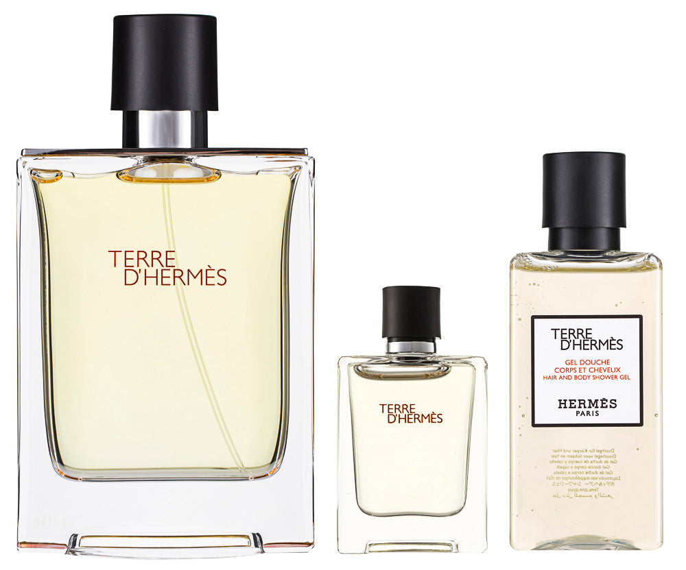 Hermès Terre d`Hermès Pour Homme Eau de Toilette Set 50 ml + 40 ml Duschgel + 40 ml After Shave Lotion