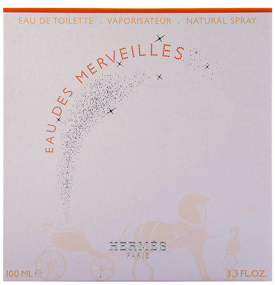 Hermès Eau Des Merveilles Eau de Toilette 100 ml