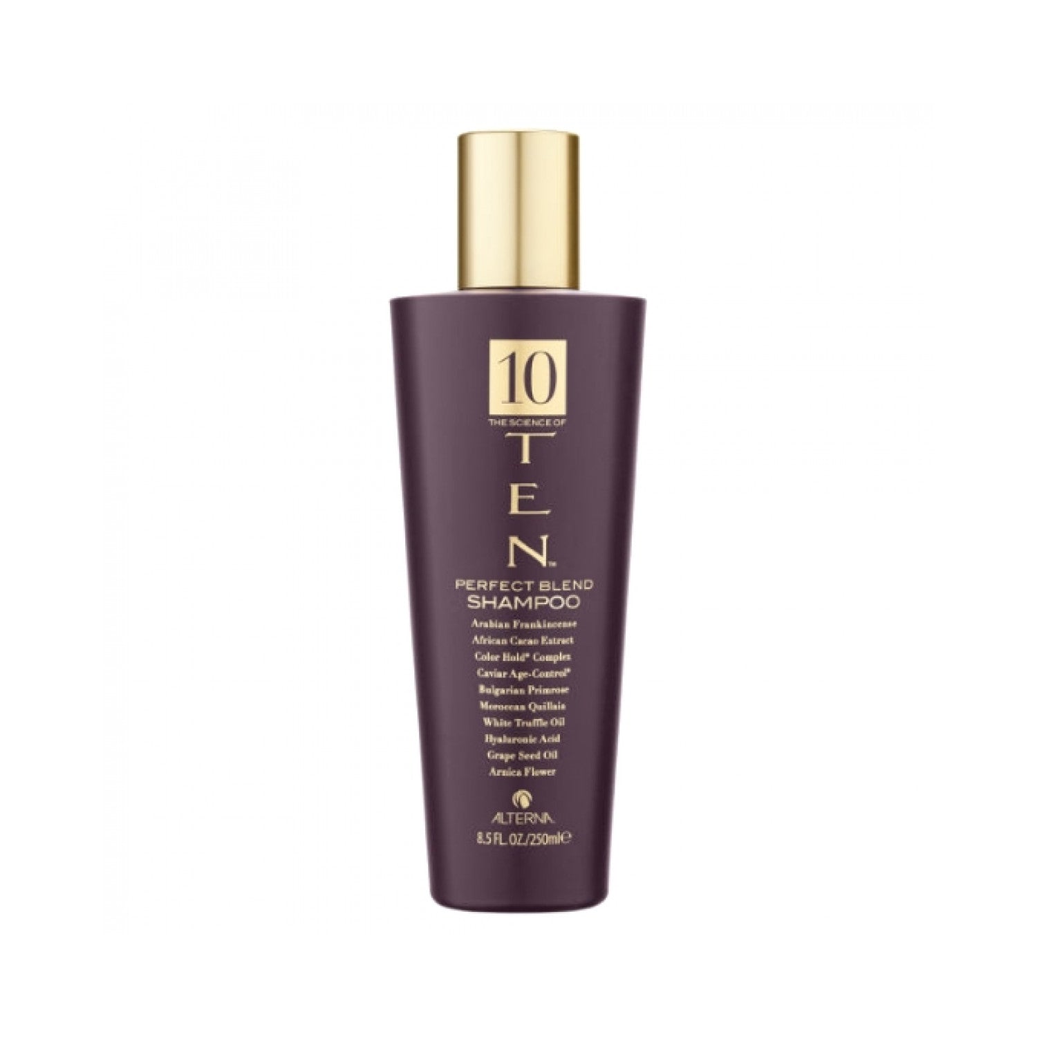 Alterna Ten Perfect Blend Shampoo 250 ml