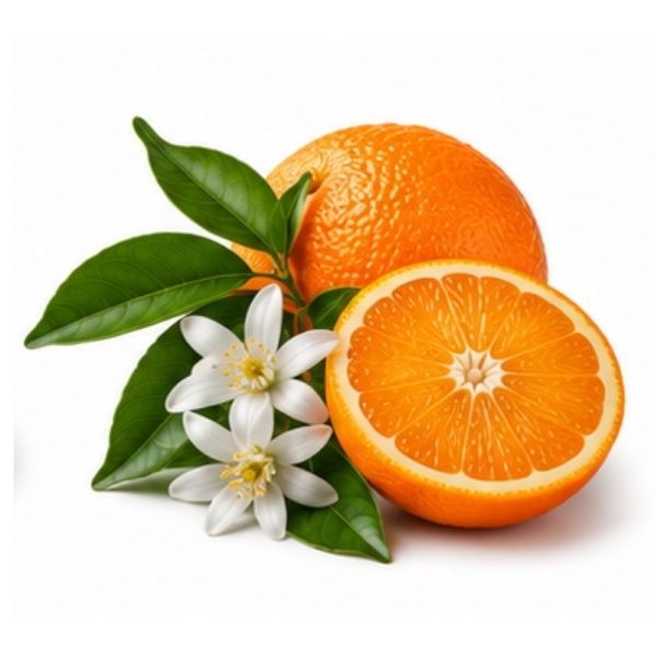 Bitterorange