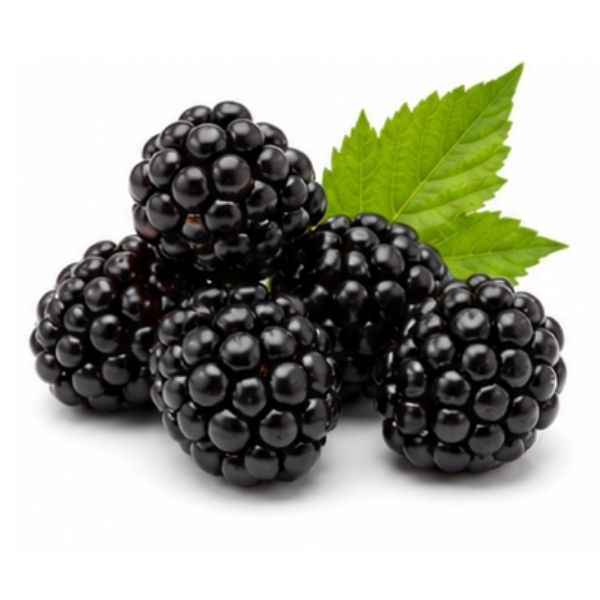 Brombeere