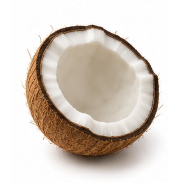 Kokosnuss