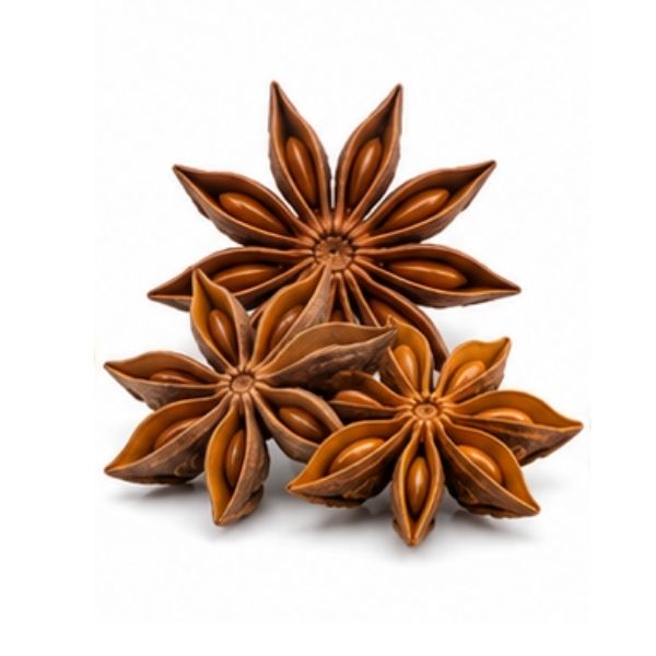 Sternanis
