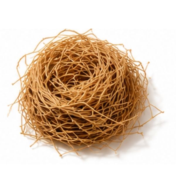 Vetiver