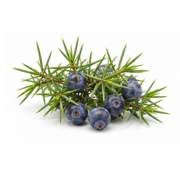 Wacholderbeeren