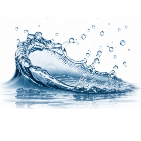 aquatische Noten