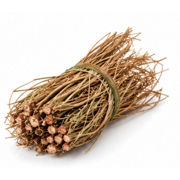 haitianischer Vetiver