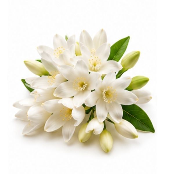 Weiße Blüten